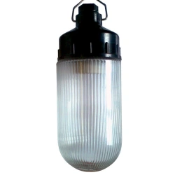 1005550307 "Acorn F" NSP 02-100-001 IP65 body carbonite GU Luminaire