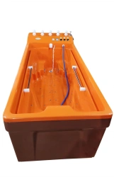 Hydrotherapeutic bathtub "GOLFSTREAM", modification - hydro/aeromassage, with PM: PM/G16/A18.