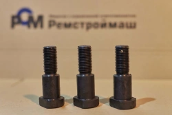 Bolt
