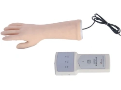Teaching Hand Model, S4