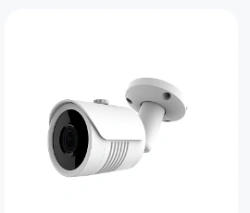 Surveillance Camera (IP Camera) RV-4314