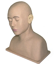 Model for ear and ear canal examination, art. no. LV40