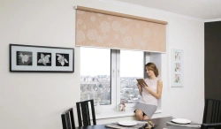 Roller blinds GRANDE 170x210cm