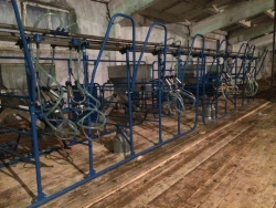 Universal milking station UDS-3B