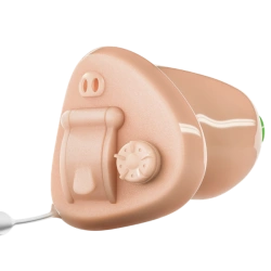 Avery Hearing Aid 1660P 13/312 ITC