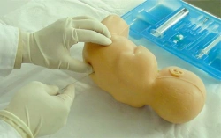Newborn model for lumbar puncture L60A