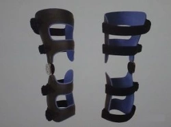 Knee joint apparatus