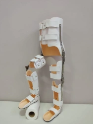 Apparatus for lower limbs and trunk (orthosis)