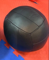 Medicine ball (medicine ball, stuffed ball)