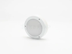 LED luminaire KV-SD.ZhKH-25-1A