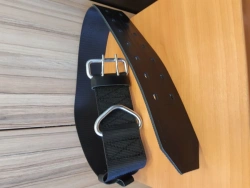 Fire rescue belt