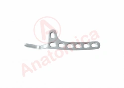 Hook plate