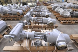 Main safety valve