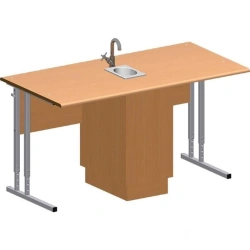 Laboratory pupil's table