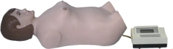 Mannequin for abdominal palpation and auscultation, FB