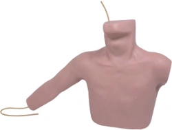 Mannequin for central vein catheterisation, Art.CS6040/L67A
