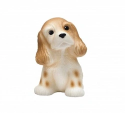 Spaniel puppy. Light