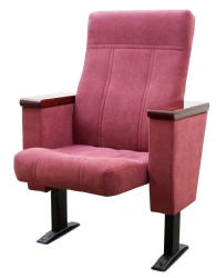 Parliament auditorium armchair