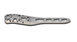 Shoulder neck plate with angular stability in 4 versions