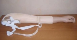 Active shoulder prosthesis PP9-70-A