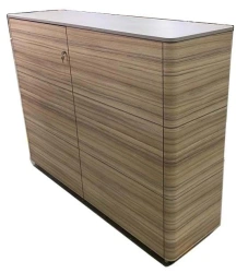Office document cabinet, series: OSL/OSL