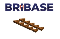 BB.VS.100.60.170 Set of 10 Mini Grip inserts for material group H (hardened materials) BriBase