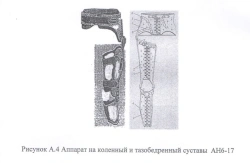 Knee and hip apparatus AN6-17