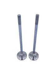 Exhaust valve RDG 4013770