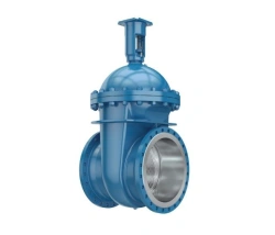 Wedge gate valves with non-retractable spindle PT12003