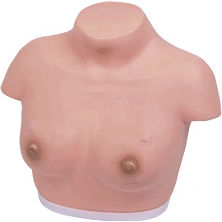 Female thorax model GP6620 / 14A