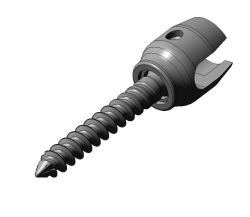 Pedicular polyaxial screw (l.5.5; 6.0; 6.5mm, length 40...70mm)
