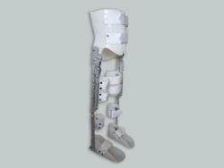 Apparatus for lower limbs and torso (orthosis)