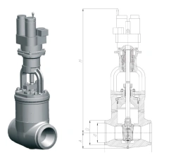 Gate valve 1120-100-EN-01