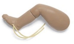 Newborn leg model for venipuncture, S34