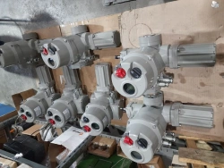 Electric multi-turn actuator BIRS 15.5