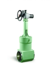 Wedge gate valve TD13076-300 (all versions)