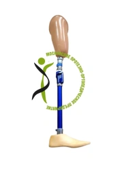 Bathing hip prosthesis PH6-M-K