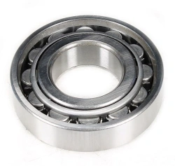 Cylindrical roller bearing 12311KM