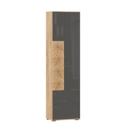 Fiji LD.659300.000 M Single door wardrobe (Oak Gold/Antracite )