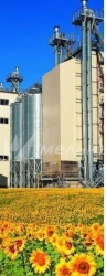 VESTA trade mark P1-C15Zh type grain dryer