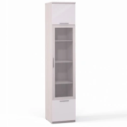 Rimini Ice F9A-01.CG/CM, Wardrobe 1 door, 1 glass, 2 doors. panel, shelves panel. (from the set of modular furniture Rimini Ice