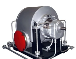 Pump PD 650-160-2 and electric pump units on its basis