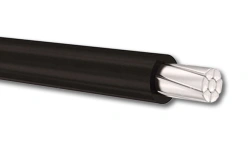 Self-supporting protected wire CIP-3