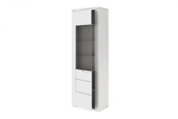 Brij TYP 01 Single-leaf cupboard (White gloss with tinted glass )