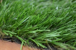 Artificial grass Optigrass C-Classic 65 MF