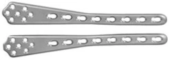 Support plate condyle with RS