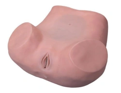 Model for gynaecological examination, 6