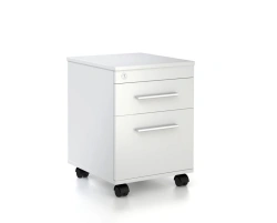 Orgspace mobile storage cabinet