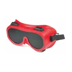 Safety goggles ZN4 ETALON super, article no. 20438
