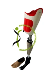 Modular hip prosthesis with microprocessor control PN6-73??